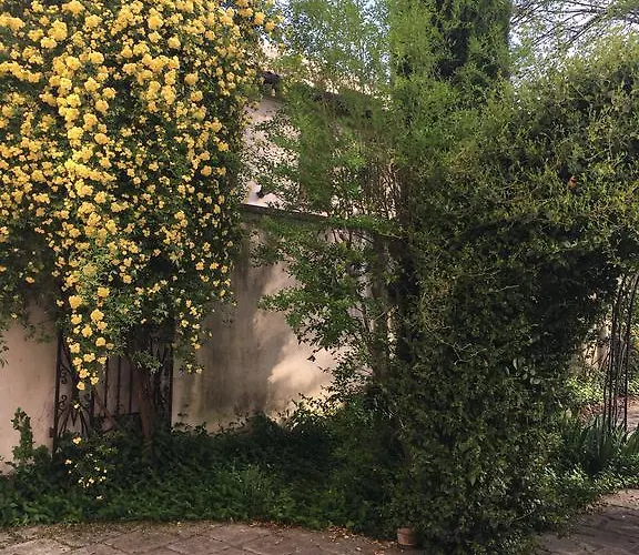 Del Cinquecento Castrocaro Terme