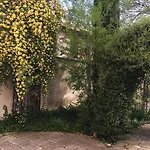 Del Cinquecento Castrocaro Terme e Terra del Sole