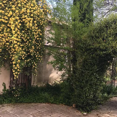 Del Cinquecento Castrocaro Terme